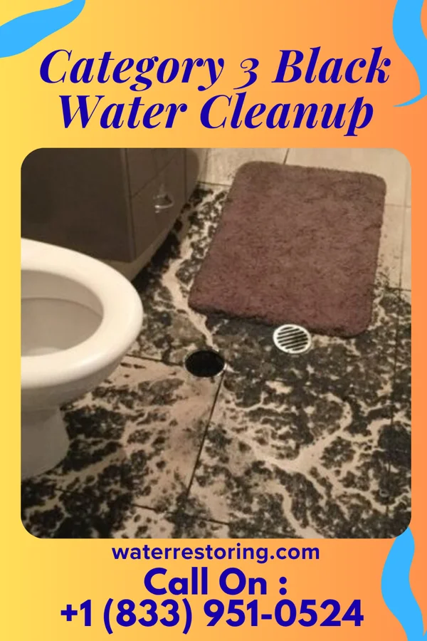 Category 3 Black Water Cleanup in Round Mountain, TX